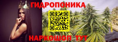 первитин Камышлов