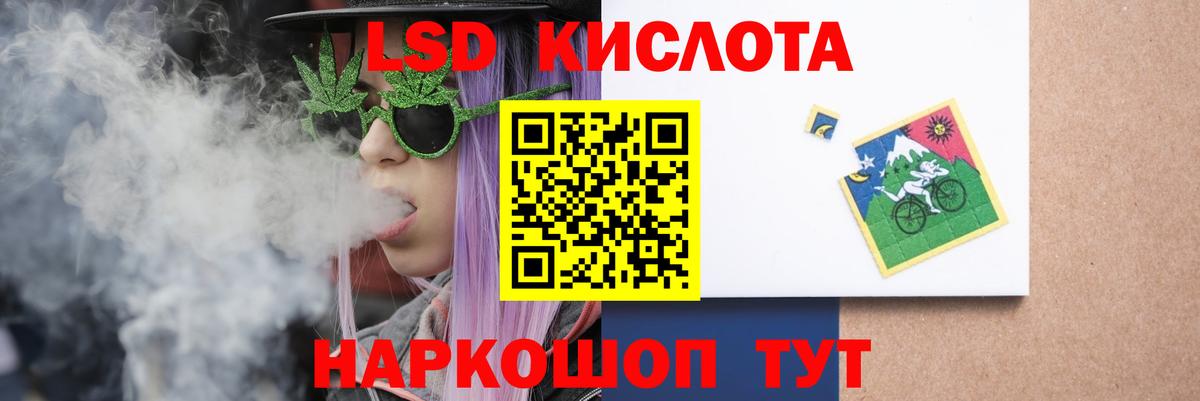 Псилоцибиновые грибы Лабытнанги